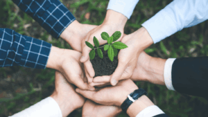 team sostenibilità ambientale